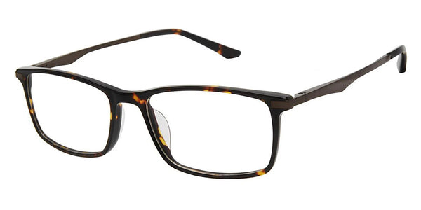 Tortoise / 52-17-140