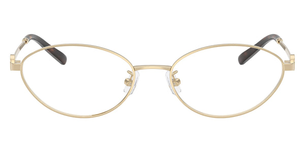 Shiny Light Gold / 53-17-140