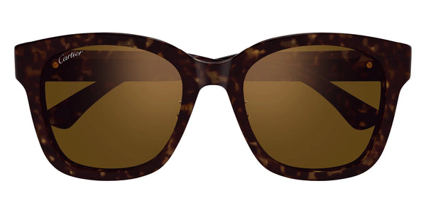 Havana / Brown / 54-20-145