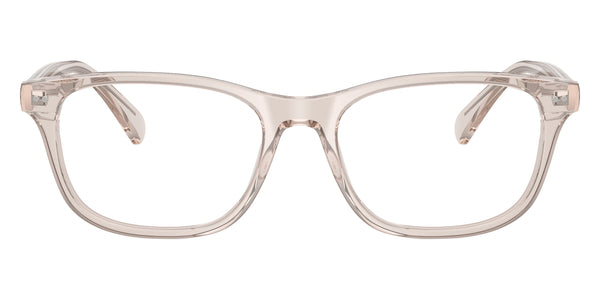 Shiny Transparent Light Taupe / 53-18-145