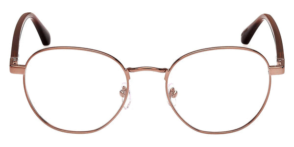 Shiny Dark Bronze / 52-19-145