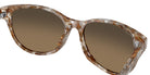 COSTA 6S2012 Catherine 201211 57 - Sand Tortoise / Copper Gradient Polarized #id:6s2012201211_s:100125