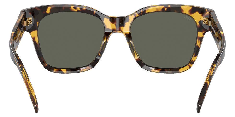 COSTA 6S2016 Nusa 201603 54 - Tortoise / Gray Polarized #id:6s2016201603_s:102115