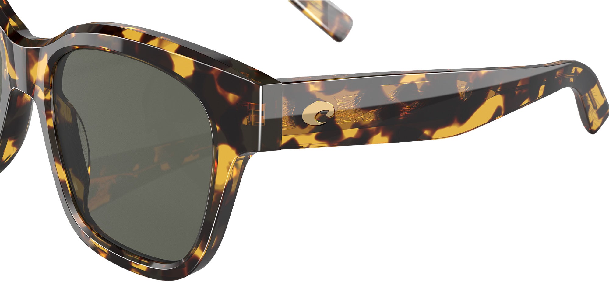 COSTA 6S2016 Nusa 201603 54 - Tortoise / Gray Polarized #id:6s2016201603_s:102125