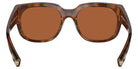 COSTA 6S9019 Waterwoman 901909 55 - Shiny Palm Tortoise / Green Mirrored Polarized #id:6s9019901909_s:102115