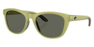 COSTA 6S9108 Aleta 910813 54 - Matte Translucent Sitka / Gray Polarized #id:6s9108910813_s:100105