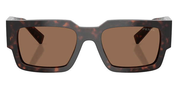 Root Tortoise / Dark Brown / 55-18-145