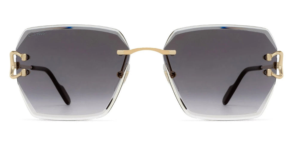 Cartier - CT0466S Signature C de Cartier