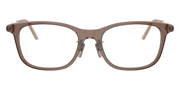 Shiny Transparent Brown/Matte Bronze / 51-19-145