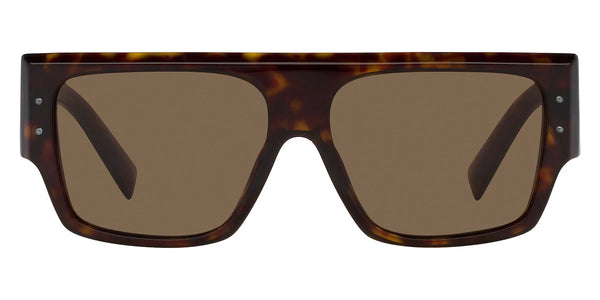 Havana / Dark Brown / 56-14-145