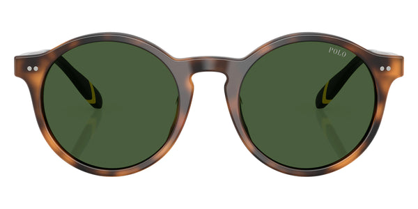 Shiny Red Havana/Green / Bottle Green / 50-21-145