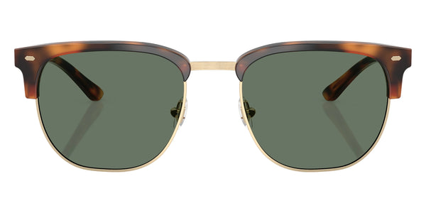 Warm Tortoise / Dark Green Solid / 54-20-145