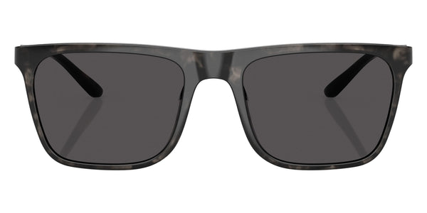 Gray Tortoise/Matte Gunmetal / Dark Gray Solid / 56-19-145