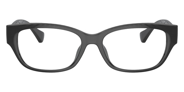 Shiny Transparent Black / 53-16-145