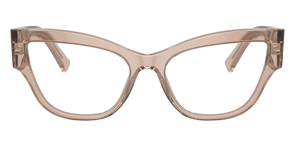 Transparent Camel / 55-17-145