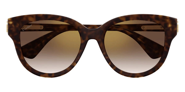 Havana / Brown Multi Treatment / 55-19-140