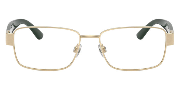 Brushed Pale Gold/Shiny Dark Green/Dark Gray / 55-16-145