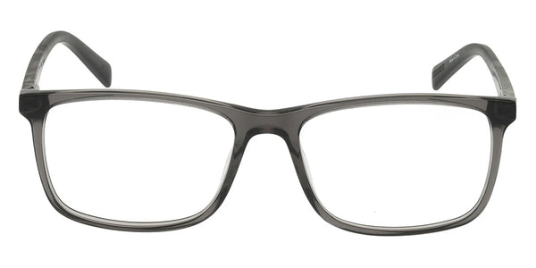 Shiny Gray / 54-16-145