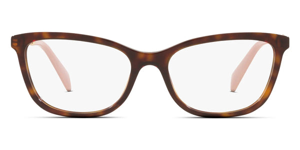 Tortoise / 52-17-140