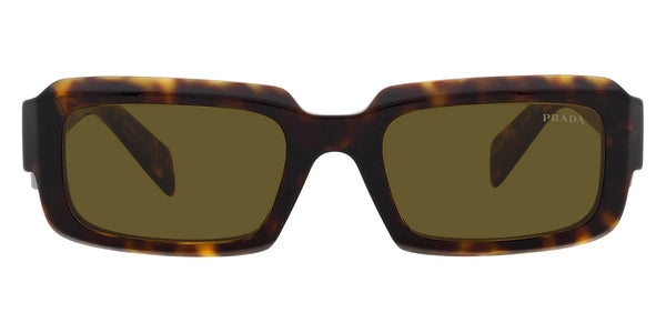 Loden/Black and Tortoise / Dark Brown / 55-19-145