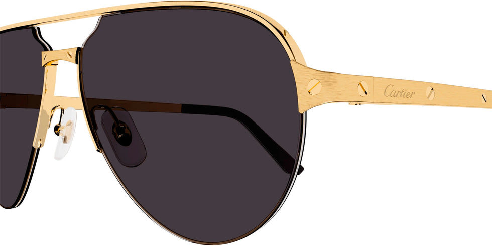 Cartier CT0386S Sunglasses - Cartier Authorized Dealer | EyeOns.com