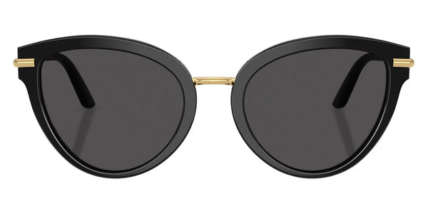 Top Black on Leo/Gold / Dark Gray / 55-21-145