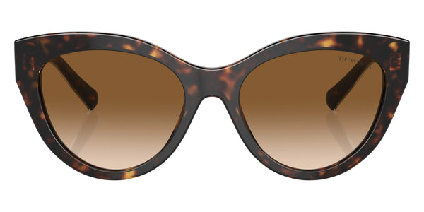 Crystal on Havana / Clear Gradient Brown / 54-18-140