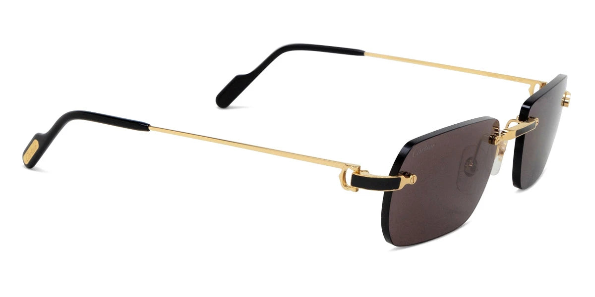 Cartier - CT0498S Santos de Cartier