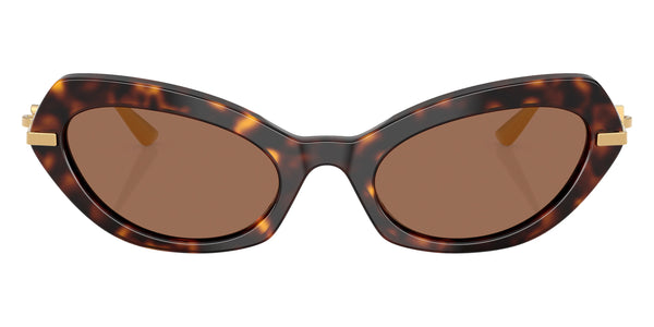 Havana/Gold / Dark Brown / 52-21-140