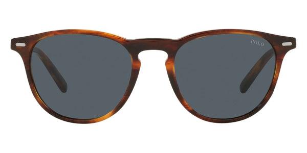 Shiny Striped Havana / Dark Gray / 51-19-145