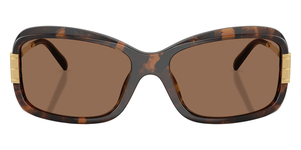 Tortoise / Dark Brown / 56-17-140