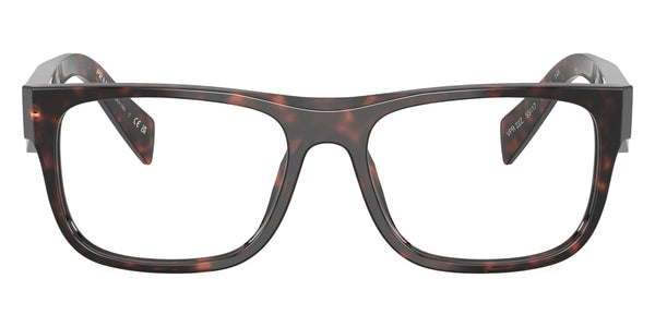 Root Tortoise / 53-17-145