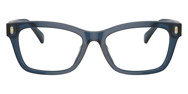 Shiny Transparent Blue / 54-17-145