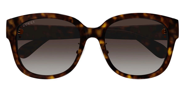 Havana / Brown Gradient / 55-19-140