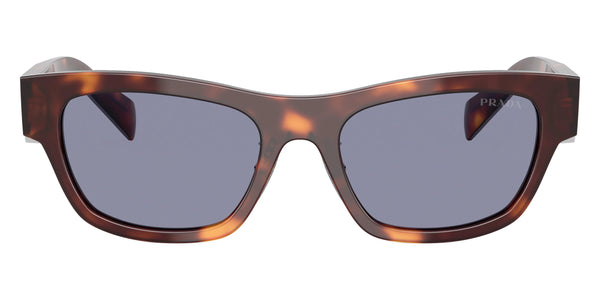 Classic Tortoise / Gray / 53-19-145