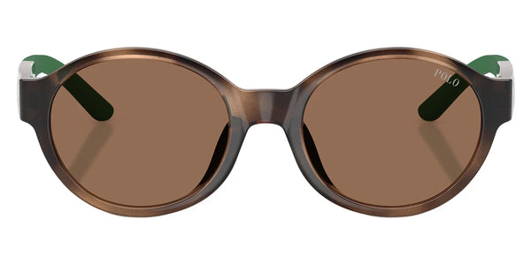 Shiny Dark Havana/Green / Dark Brown / 45-16-125