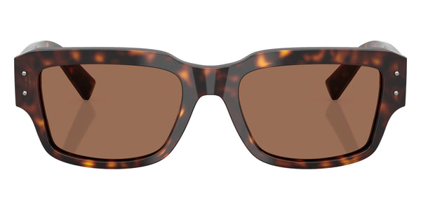 Havana / Dark Brown / 54-19-140