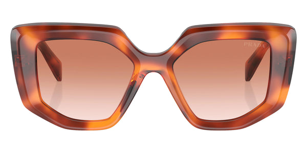 Cognac Tortoise / Brown Gradient / 50-18-140