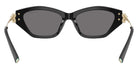 TIFFANY TF4231U 800181 53 - Black/Pale Gold / Dark Gray Polarized