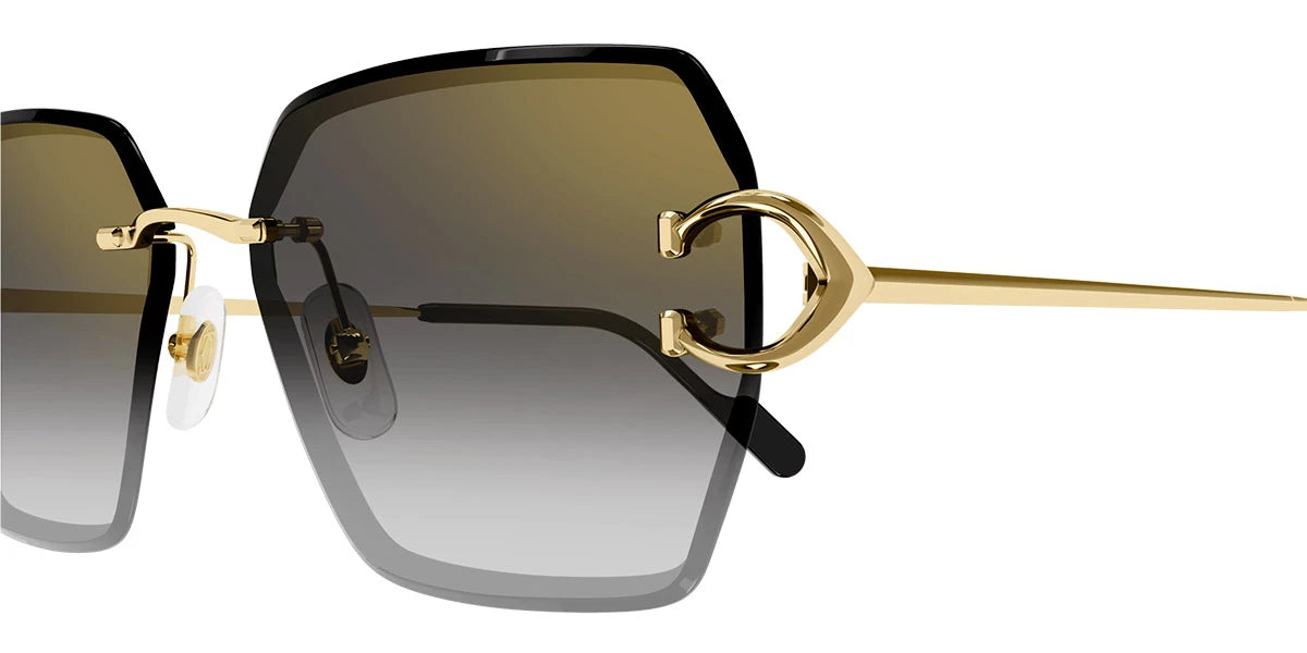 Cartier - CT0466S Signature C de Cartier