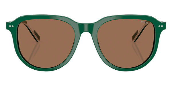 Shiny Dark Green/White / Dark Brown / 53-18-145