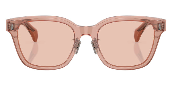 Pink Transparent / Pink / 54-20-145