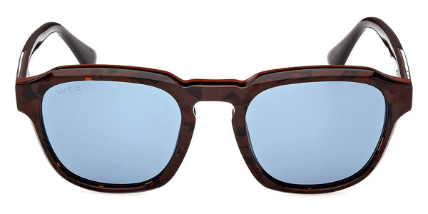 Havana/Monocolor/Shiny Dark Brown / Blue / 52-21-150