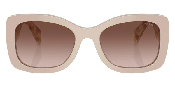 Desert/Desert Tortoise / Brown Gradient / 56-20-145