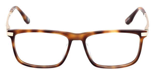 Havana/Shiny Pale Gold / 54-15-145