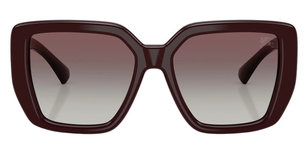 Bordeaux / Gray Gradient / 54-17-140