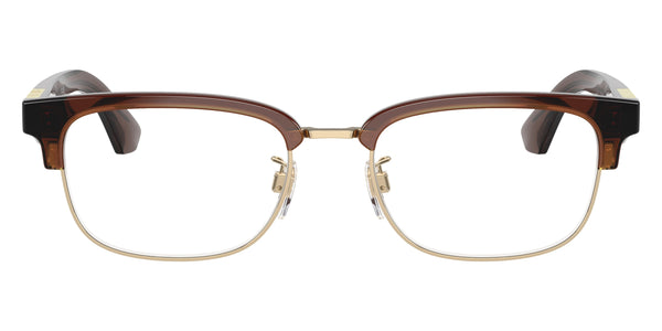 Light Gold/Brown / 54-19-145