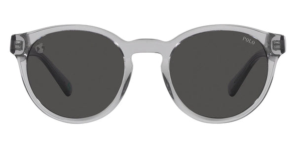 Shiny Transparent Gray / Dark Gray / 51-21-145