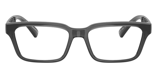 Shiny Transparent Gray / 55-17-145