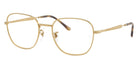 Ray-Ban RX6534 2500 51 - Arista Gold